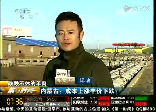 央視財經(jīng)頻道報道---跌跌不休的羊肉