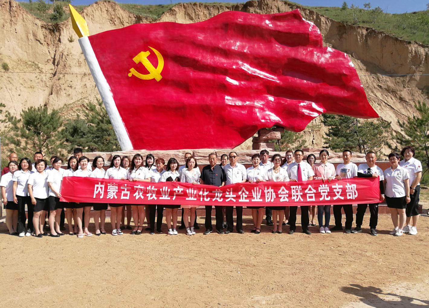 內蒙古農牧業(yè)產(chǎn)業(yè)化龍頭企業(yè)協(xié)會(huì )走進(jìn)石人灣村開(kāi)展“辦實(shí)事、解難題，送溫暖，傳黨恩”公益活動(dòng)